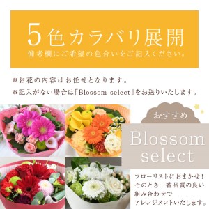 【そのまま飾れるブーケ】フレンチブーケ(Sサイズ)【5色カラバリ展開】【2401U03803】