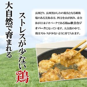 長州黒かしわ もも肉 小分けパック 計1.2kg