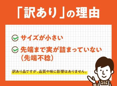 【訳あり】令和8年発送　宮崎県産とうもろこし　スイートコーン「ゴールドラッシュ」13～20本【新鮮 農家直送 トウモロコシ 産地直送 季節限定 期間限定 宮崎県産 九州産スイートコーン】