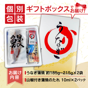 【定期便 3ヶ月】 うなぎ 蒲焼 2尾 国産 うなぎ