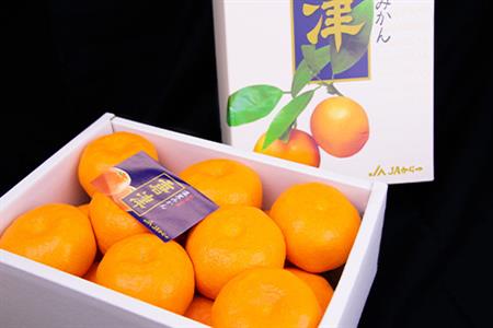 『先行予約』【6月下旬発送予定】唐津産 温室みかん 1.8kg 化粧箱 ハウスみかん ミカン 果物 フルーツ ギフト