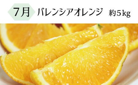 定期便 【全3回定期】果物定期便 バレンシアオレンジ 桃 柿【tkb142】
