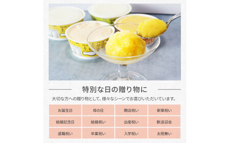 Made in 土佐のアイスクリンと柑橘シャーベットセット