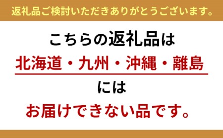 八ヶ岳創響 拭き漆(中)スピーカー ※配送不可地域あり エンジェル