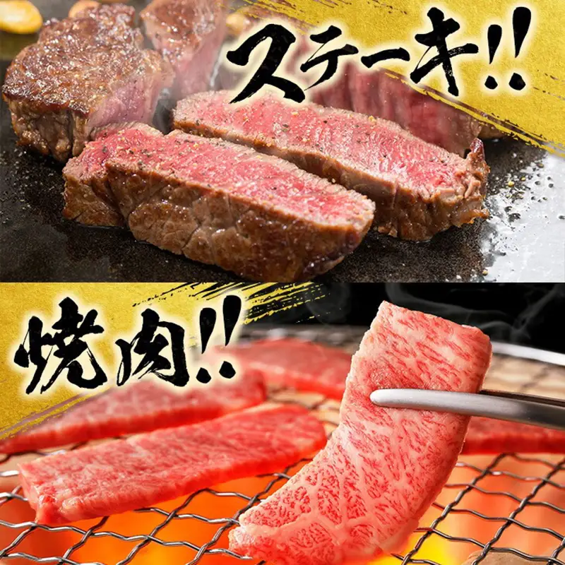 【令和8年6月から毎月配送】赤身肉の4か月定期便 数量限定 黒毛和牛 赤身 牛肉 お楽しみ 定期便 総重量1.7kg_H51-25-E