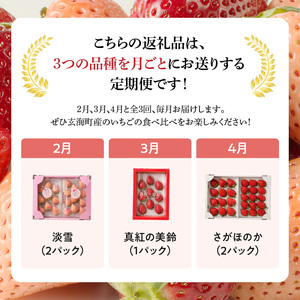 玄海町産いちご ミックス定期便｜ さがほのか 淡雪 真紅の美鈴 フルーツ 旬 定期便【Z049】
