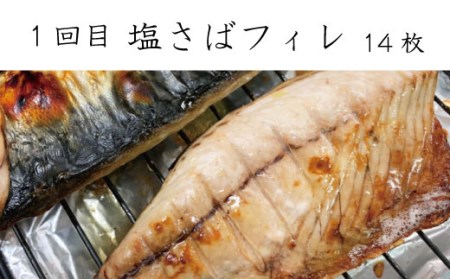 【3回定期便】おさかな定期便 サバ ウナギ サケ【tkb131】