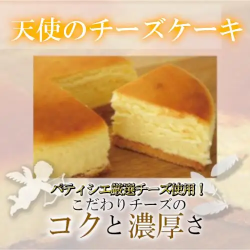 濃厚チーズケーキ　2種食べ比べセット　【11218-0461】