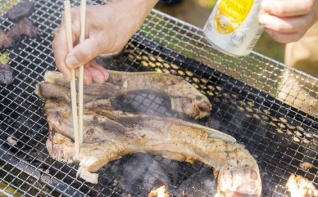 グリル用まぐろカマ肉 ３切れセット　＜お試し商品＞　CH-84 