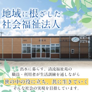 i065 清流苑の墓守サービス(1回)代行サービス お墓参り 現状確認 管理代行 お手入れ 清掃 クリーニング 墓石 お参り 【社会福祉法人清流苑】