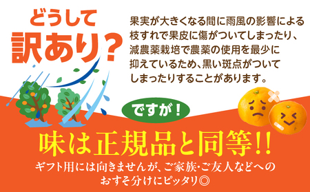 訳あり 数量限定 海藻木酢みかん 計5kg以上 傷み補償分入り フルーツ 果物 _A94-25