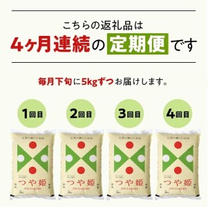 SH0032　【4回定期便】令和7年産 特別栽培米つや姫　5kg×4回(計20kg)　「最優秀金賞」受賞農家直送・鳥海山麓やわたの米 TR