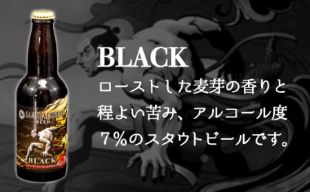 【定期便】クラフトビール 3ヶ月 計18本 クラフトビール
