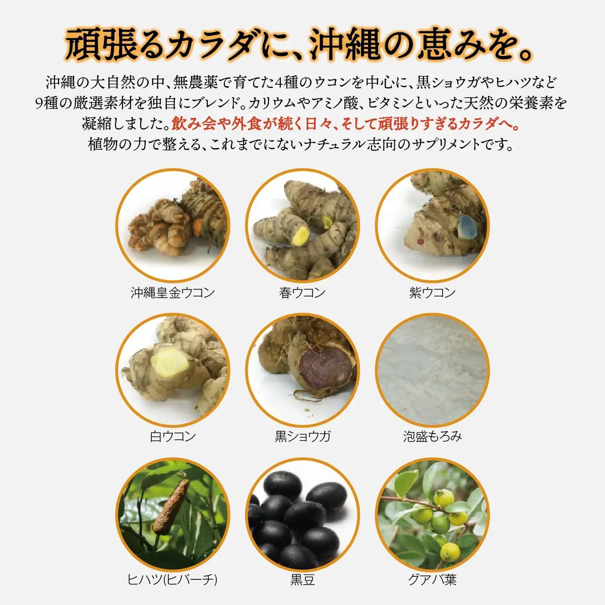 ウコンと5種の美健素材（SAKEKING3個セット）   