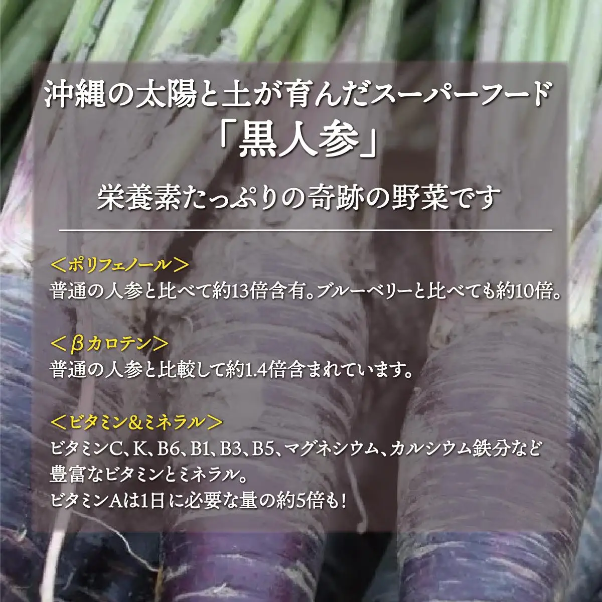 ギフトにもぴったり 黒人参茶3種×3セット   