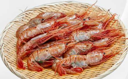 8-040-001　ジャンボボタンエビ 1kg（10～20尾）