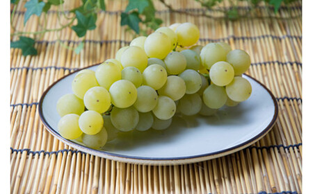 8-011-013　ぶどう（ナイアガラ）2kg（10月～発送）【マルゼン佐藤果樹園】