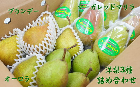 8-015-011　山口さんちの洋梨 3種詰め合わせ 5kg【9月下旬～発送】