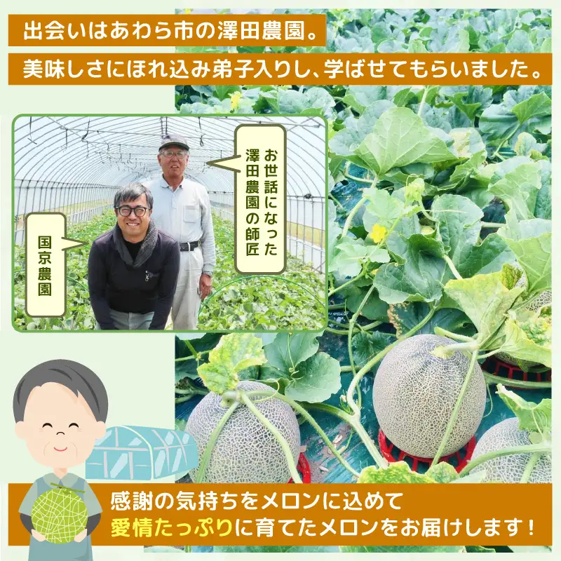  【先行予約】マルセイユメロン 2玉入 4L（1.3kg以上×2玉）高糖度で抜群に美味しい赤肉メロン ／ 果物 フルーツ 産地直送 ※2026年6月上旬以降発送 [aw067-a005]