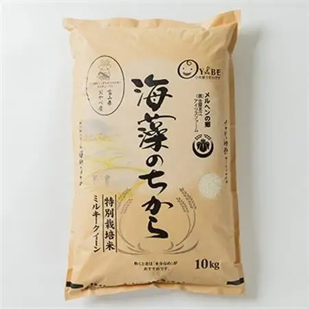 特別栽培米20kg (精米/ミルキークイーン10kg×2)【1290533】