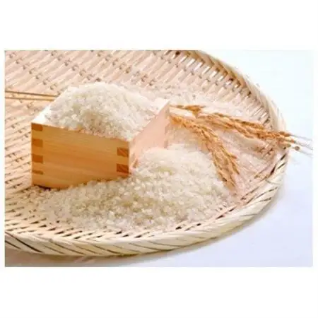 富山県産メルヘン米コシヒカリ20kg(精米/10kg×2袋)【1291669】