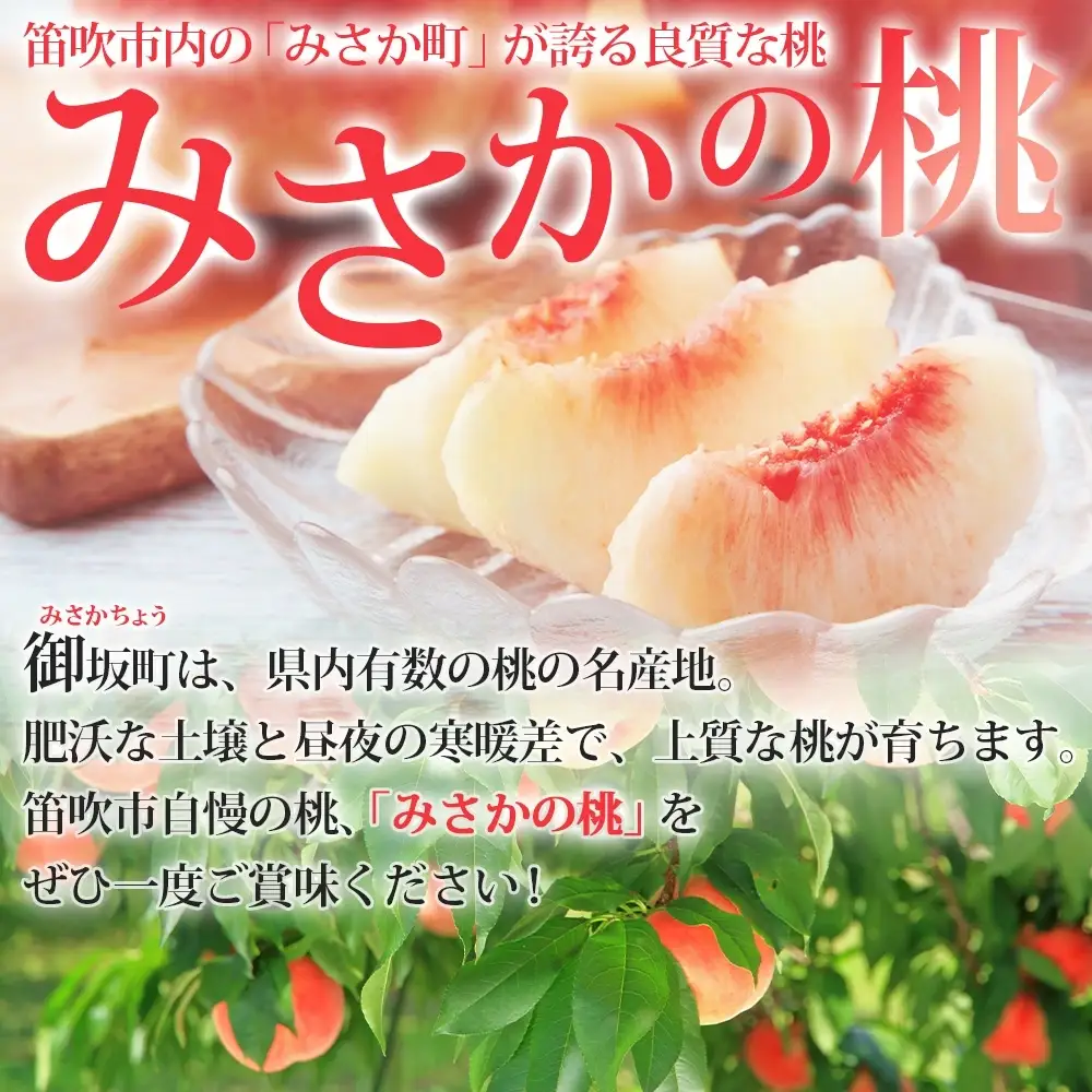 【2026年発送★先行予約】桃 秀品 1.5kg  糖度10％以上※クール便配送 177-004-26y