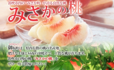 【2026年発送★先行予約】桃 秀品 4.5kg  糖度10％以上※クール便配送 177-006-26y