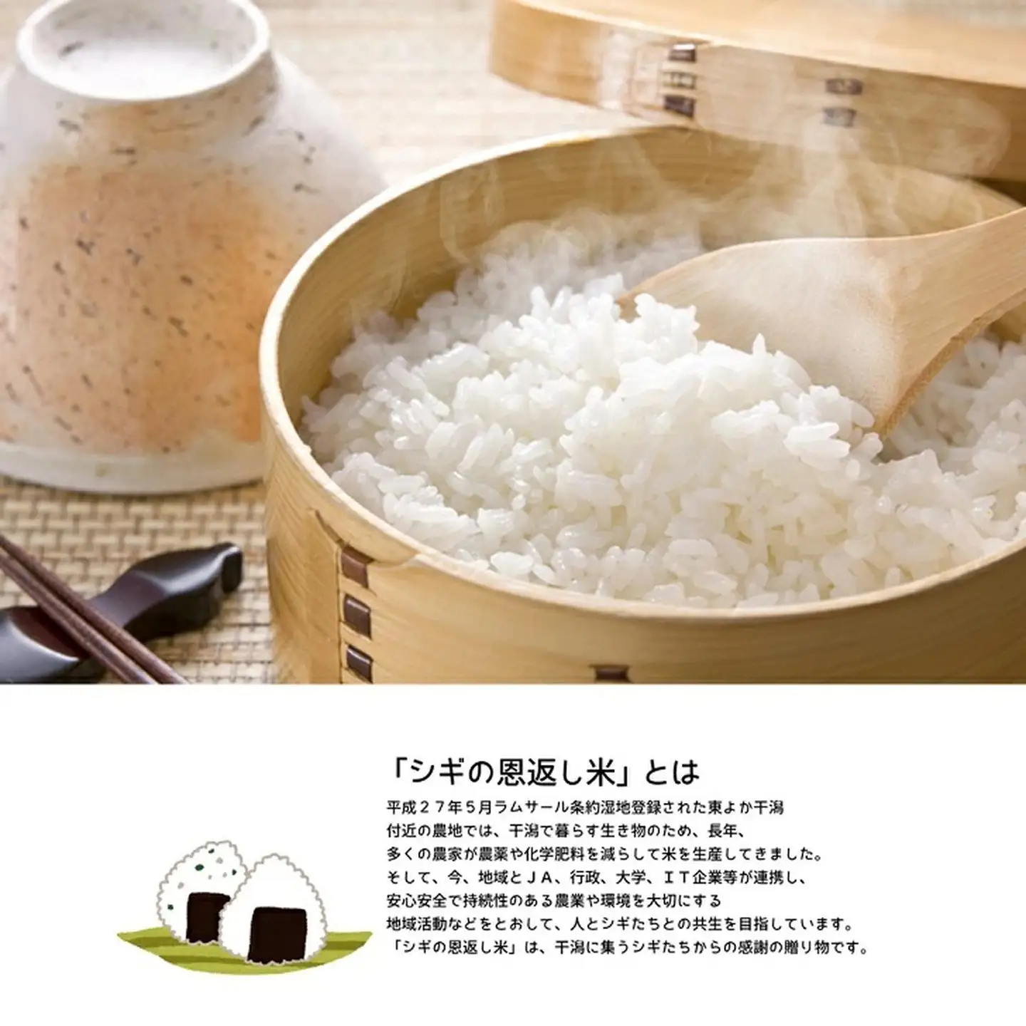 ＜白米＞佐賀東与賀産シギの恩返し米（特別栽培米夢しずく）5kg：B160-042