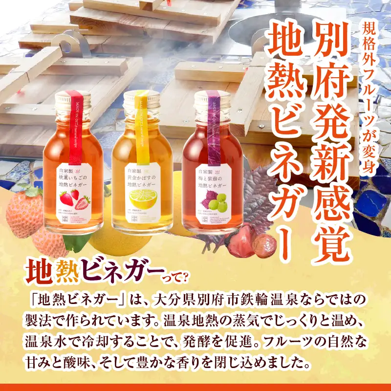 地熱ビネガーミニボトル３種セット_B009-004