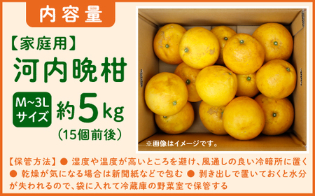 【先行予約】吉本農園の愛南ゴールド（河内晩柑）家庭用約5kg　＜柑橘 希少 果物 国産 フルーツ みかん 蜜柑  家庭用 和製 グレープフルーツ ブランド 果実 ビタミン 愛媛県 鬼北町 ＞ ※2026年4月上旬～8月上旬頃に順次発送予定