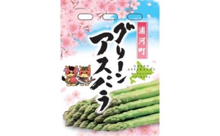 【先行受付開始！】【訳あり】北海道浦河産 朝採り夏アスパラ(グリーン)1kg[03-145]