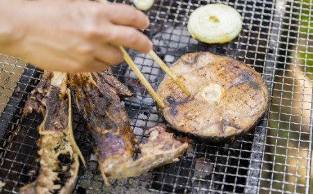グリル用まぐろテール肉 ＜お試し商品＞　CH-101