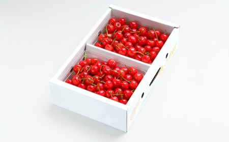 先行予約 さくらんぼ 紅秀峰 秀Lサイズ 1kg (500gx2パック)バラ詰め 化粧箱 令和8年産 ns-bsslb1