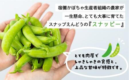 【数量限定】≪6月頃より順次発送≫ 飛騨高山産 甘み抜群！すくなスナッピー1kg (スナップえんどう) | スナックえんどう スナップエンドウ 野菜 旬 新鮮 飛騨 高山 エンドウ 豆 スナックエンドウ えんどう豆 飛騨高山 宿儺さま KA001