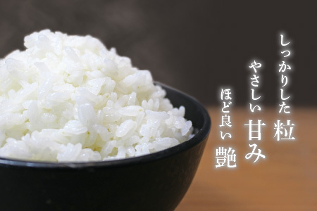 【令和7年産】（無洗米） さんさん池見二代目がお届けする 福井県産いちほまれ 5kg [B-0219_05]