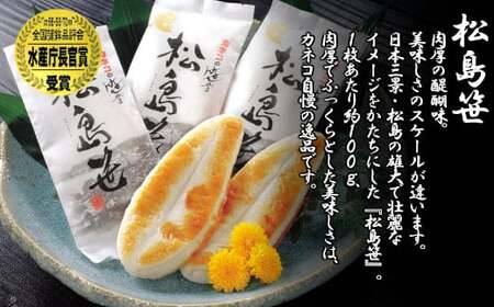 かまぼこ カネコの笹かま特選詰合せセット 笹かまぼこ ＆ かまぼこ珍味3種  かまぼこ かまぼこ かまぼこ