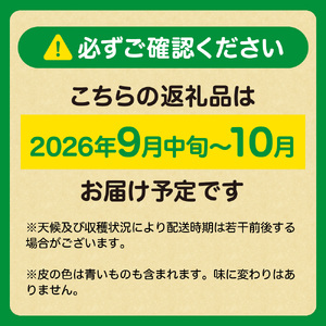 福岡県ブランド 極早生みかん「早味かん」3kg【JAほたるの里】_HA0886