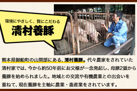 上ロースしゃぶしゃぶ 600g 清村養豚