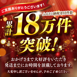 豚肉 ヒルナンデスで紹介！【令和8年5月発送】宮崎県産豚肉 6種4.1kg 小分け セット