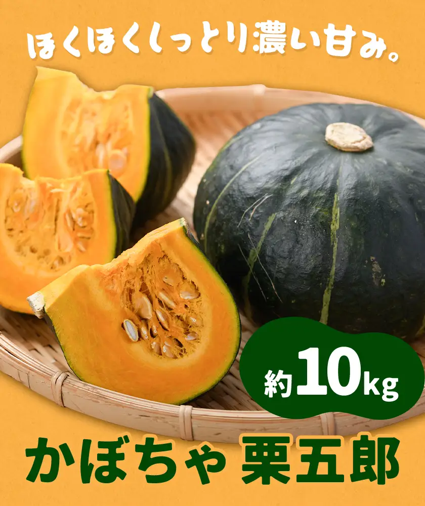 かぼちゃ 栗五郎 約10kg 小山農園《6月中旬-7月中旬頃出荷》