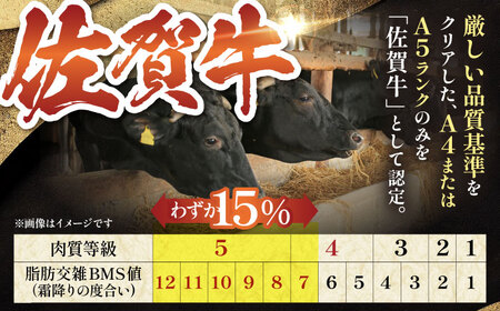 佐賀牛 秘伝味付け カルビー（焼肉用）約300g HAA002 カルビ 和牛 焼肉 国産