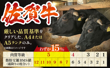 【全6回定期便】たっぷり 佐賀牛 ハンバーグセット（20個） HAA040 牛肉 ハンバーグ 赤身 国産