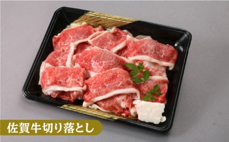 【おうちごはんを応援】三栄のデイリーセット＜牛 豚 鶏＞ [HAA059] 肉セット