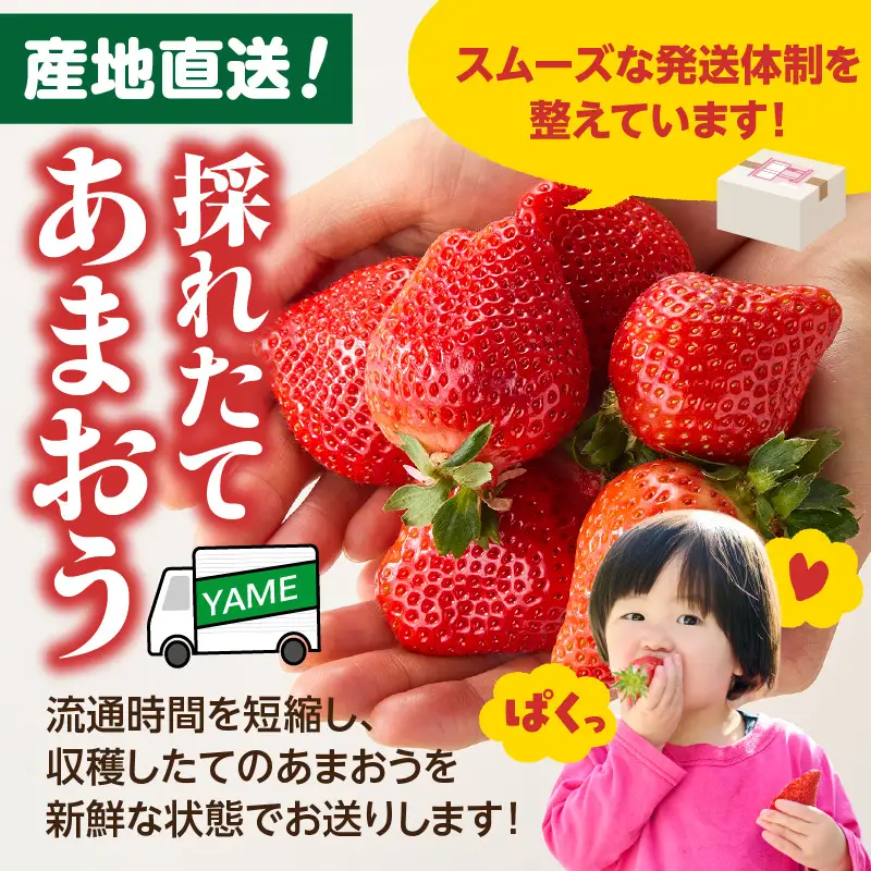 【2026年12月発送開始】博多あまおう350g（化粧箱）｜JAふくおか八女 あまおう いちご 苺 イチゴ フルーツ 果物 くだもの 人気 アフター補償 ギフト 化粧箱入り 贈答品 プレゼント 贈り物 数量限定 期間限定 産地直送 デラックス 福岡県 八女市 002-002