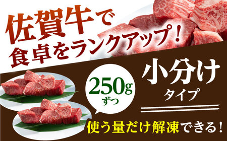 【A5 希少部位】佐賀牛ヒレサイコロ ステーキ 500g HAD036 ヒレ 牛肉