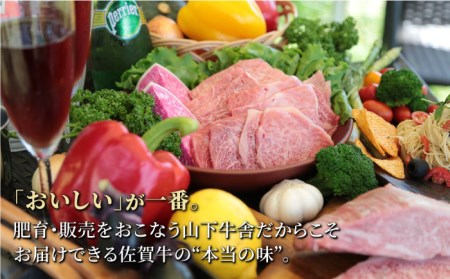 佐賀牛 A5 ロース焼肉用 400g×2パック HAD051 BBQ バーベキュー キャンプ アウトドア ロース