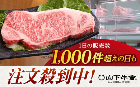 【全12回定期便】佐賀牛 A5 サーロインステーキ（300g×2枚） HAD068 ステーキ