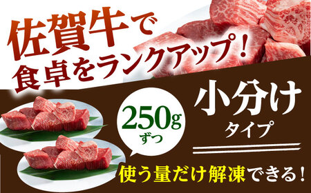 【全12回定期便】佐賀牛 ヒレサイコロステーキ(250g×2パック) HAD074 フィレ ステーキ