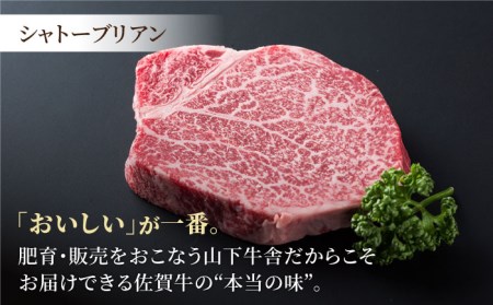 【A5ランク 超希少部位】佐賀牛ヒレセット1人前 シャトーブリアン 100g+ヒレ サイコロステーキ 250g HAD097 ヒレヒレヒレヒレヒレ
