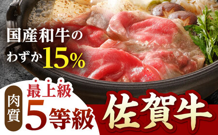 【全6回定期便】佐賀牛 A5赤身 HAD100 赤身 BBQ